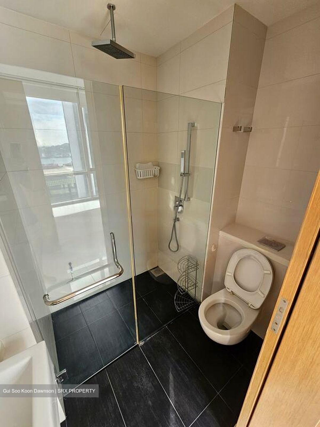 Lumiere (D2), Apartment #501879931